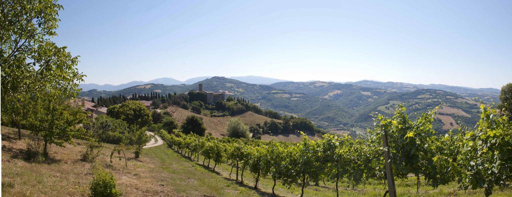 Agriturismo Tenuta Di Biscina Extérieur photo