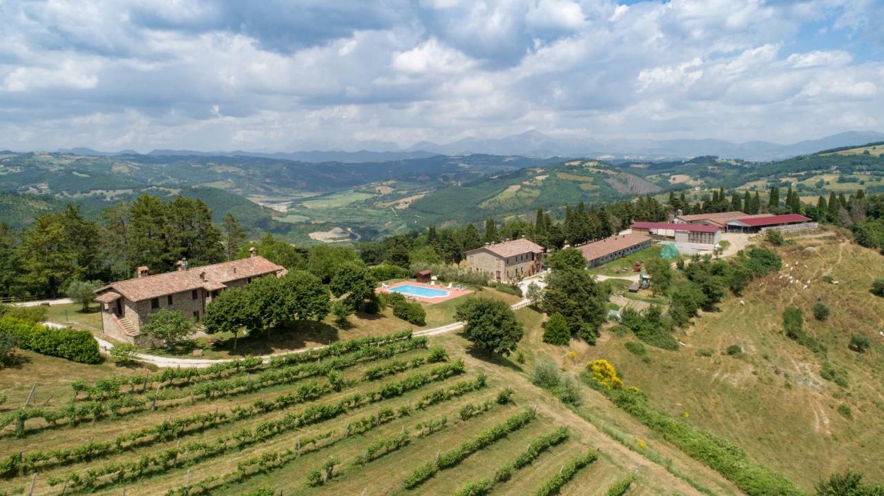 Agriturismo Tenuta Di Biscina Extérieur photo