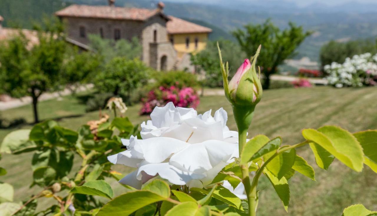 Agriturismo Tenuta Di Biscina Extérieur photo